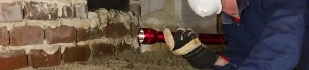 Pest control technician inspecting a crawl space for ant activity and entry points in Albany, NY