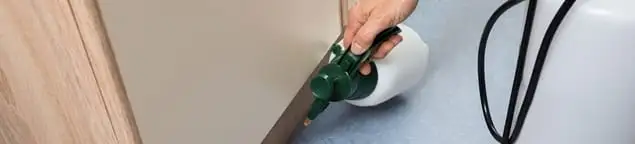 Bed bug exterminator treating baseboards and cracks with targeted spray in Albany, NY