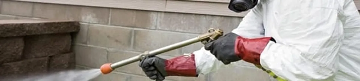 Pest control technician applying exterior insect treatment along a home foundation in Albany, NY