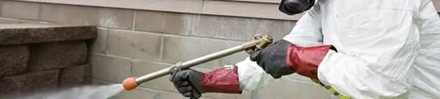 Pest control technician applying exterior insect treatment along a home foundation in Albany, NY