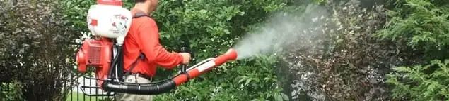 Mosquito control technician fogging shrubs and landscaping for mosquito treatment in Albany, NY