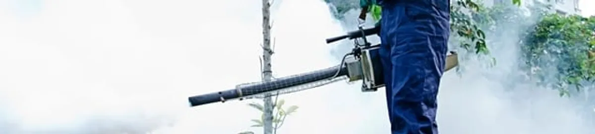 Pest control technician fogging an outdoor area for insect control in Albany, NY