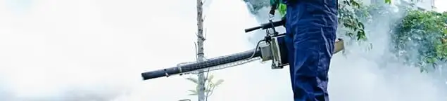 Pest control technician fogging an outdoor area for insect control in Albany, NY