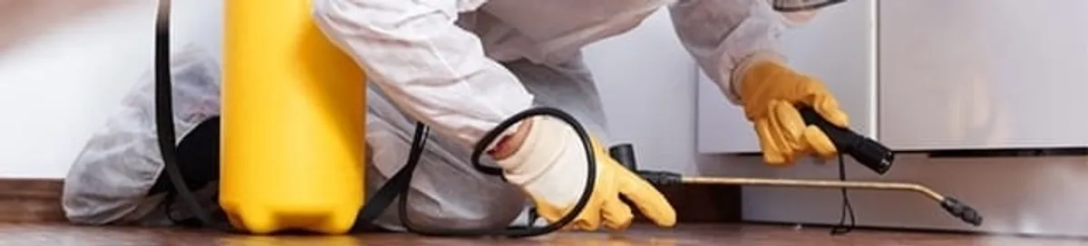Roach exterminator treating cracks and crevices along kitchen baseboards in Albany, NY