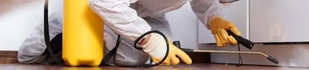 Roach exterminator treating cracks and crevices along kitchen baseboards in Albany, NY