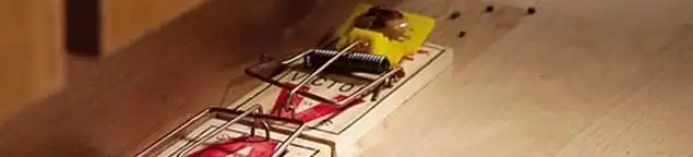 Rodent trap set indoors for rodent control and prevention in Albany, NY